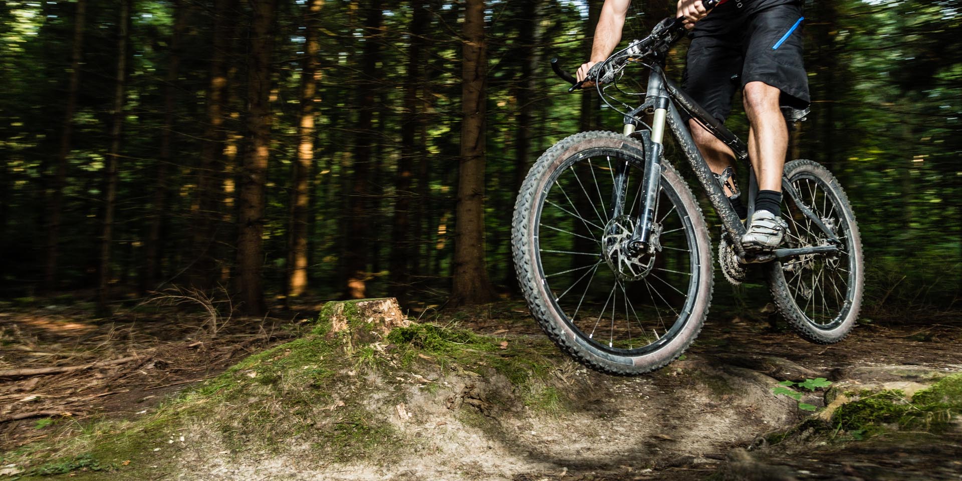 Mountainbiker im Sprung von Bäumen umgeben